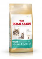 Royal Canin Maine Coon kitten 4kg